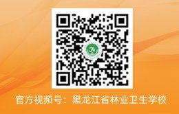 公开信息按发布时间滚动